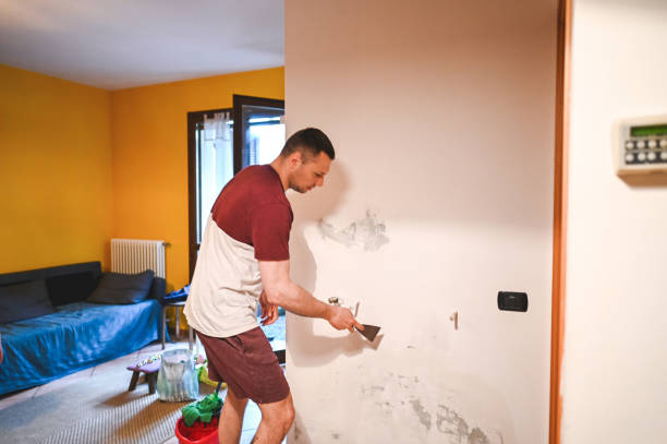 Best Localized Mold Remediation (e.g., coastal areas, humid climates) in North Miami, FL